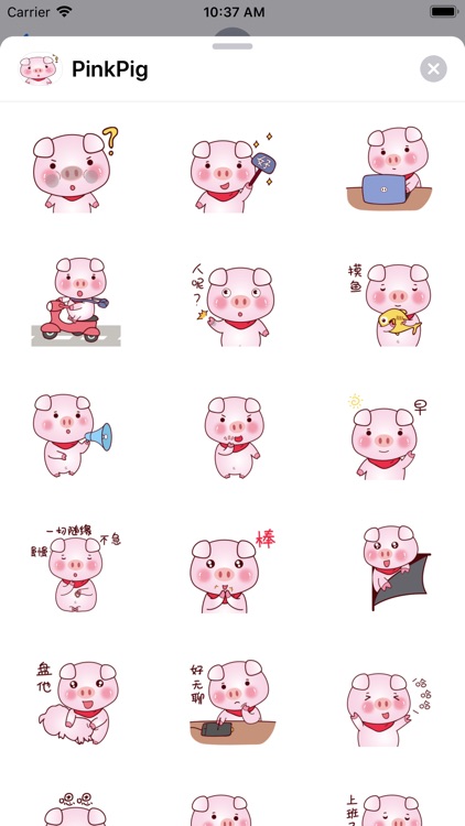 Pink Pig