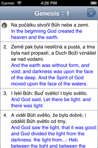 Čtení Bible - náhled