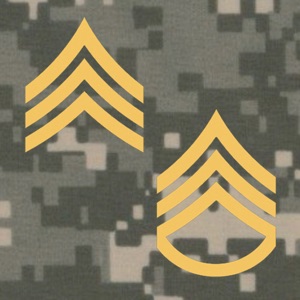 PROmote - Army Study Guide download