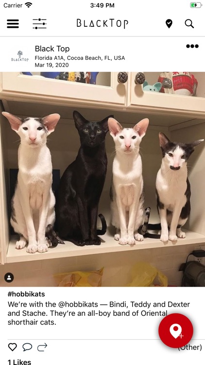 BlackTop Street Post screenshot-3