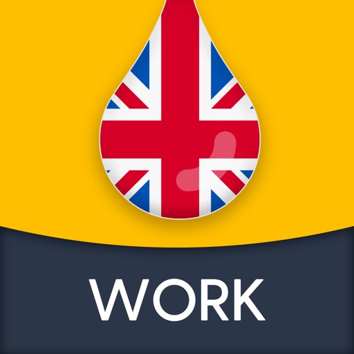English Words for Work, Office iOS App