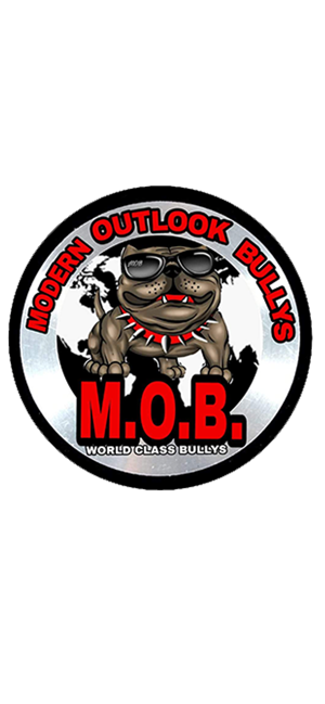 Modern Outlook Bullys