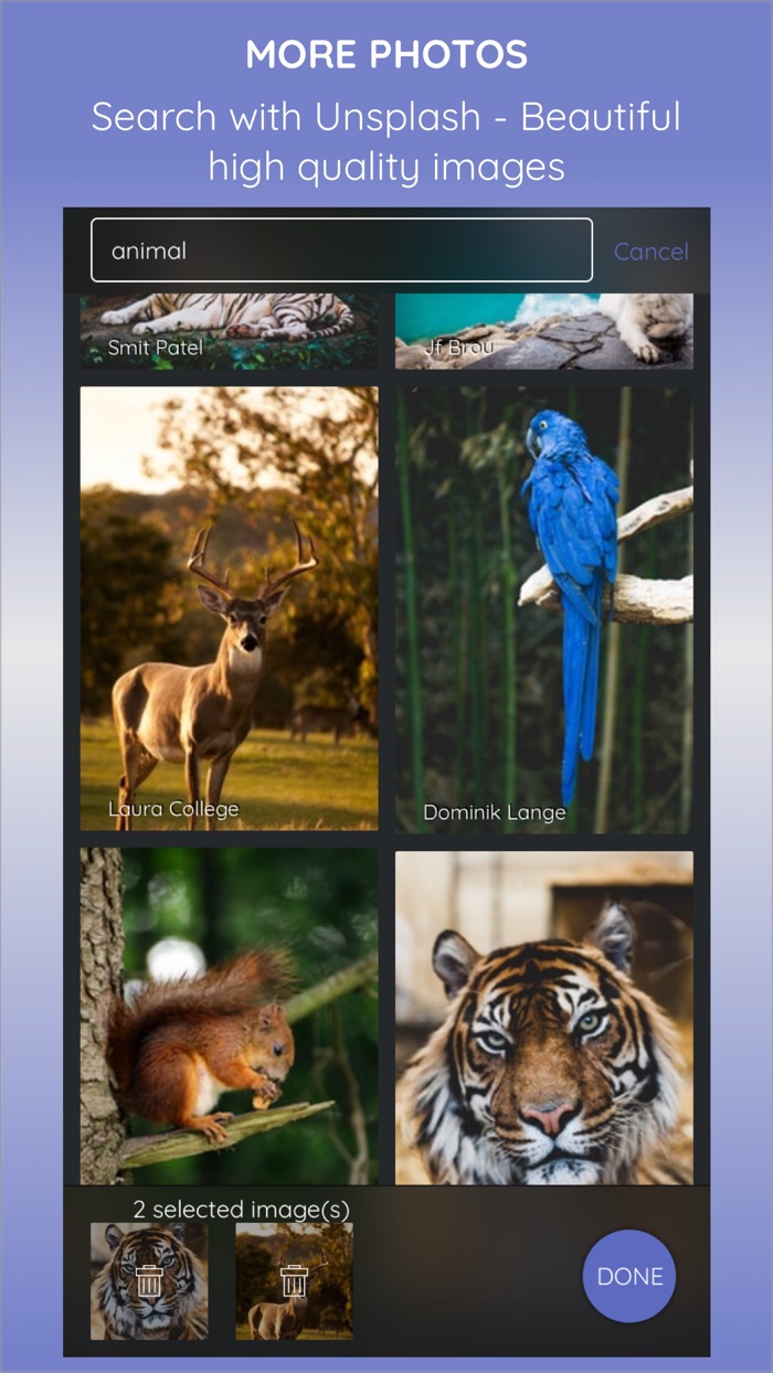 LayoutPic - Photo grid