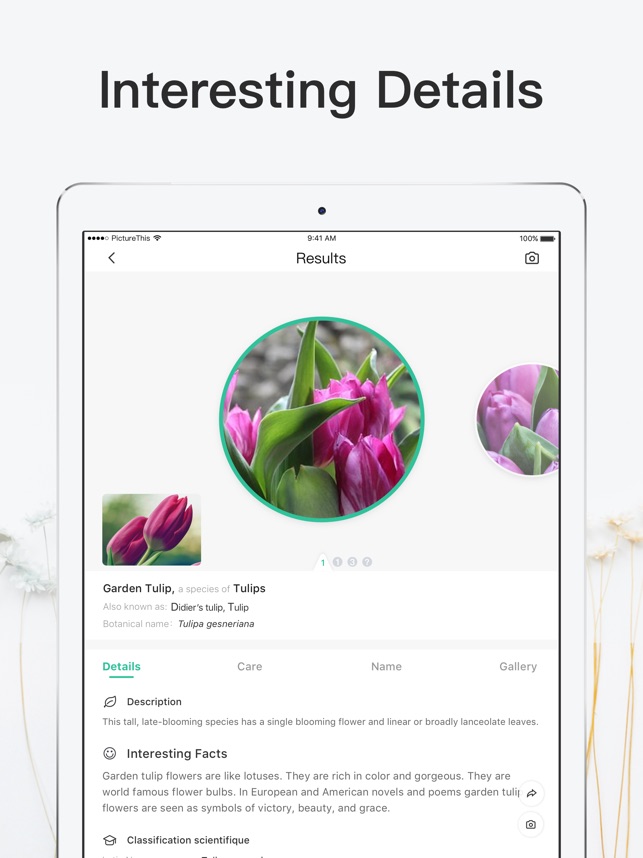 Picturethis Plant Identifier On The App Store