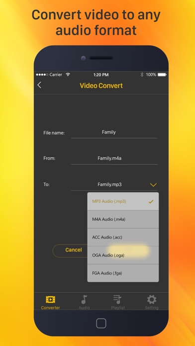 Video to Mp3 - Convert Audio screenshot 2