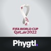 FIFA Qatar 2022™ on Phygtl
