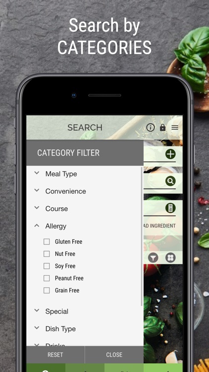 Vegan Recipe Browser