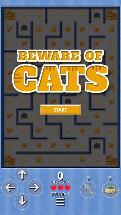 Beware Of Cats - Maze Runner