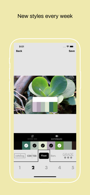 Color Viewfinder - palette(圖4)-速報App