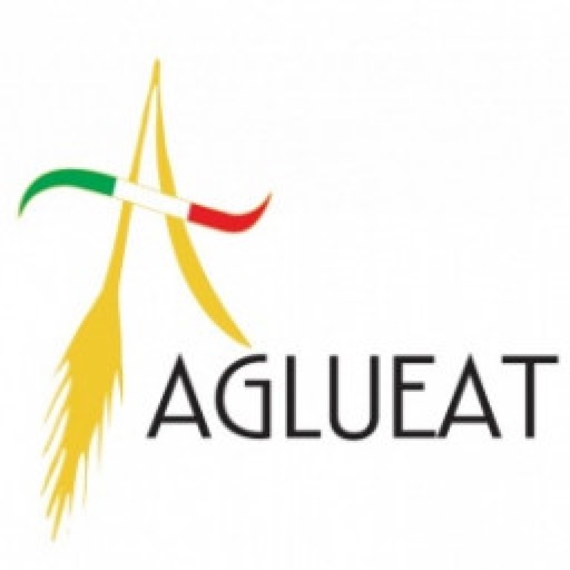 Aglueat