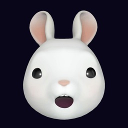 ToonPack - avatar video chat