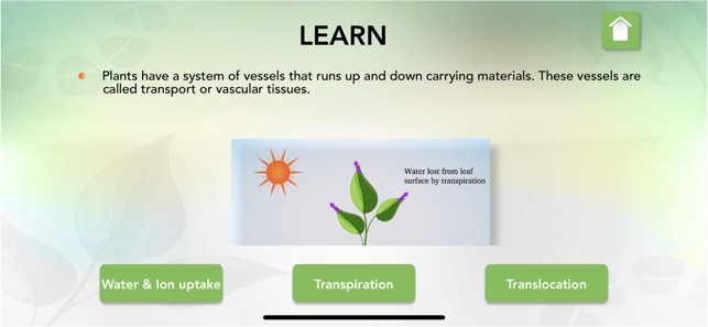 Transport in Plants Biology(圖2)-速報App