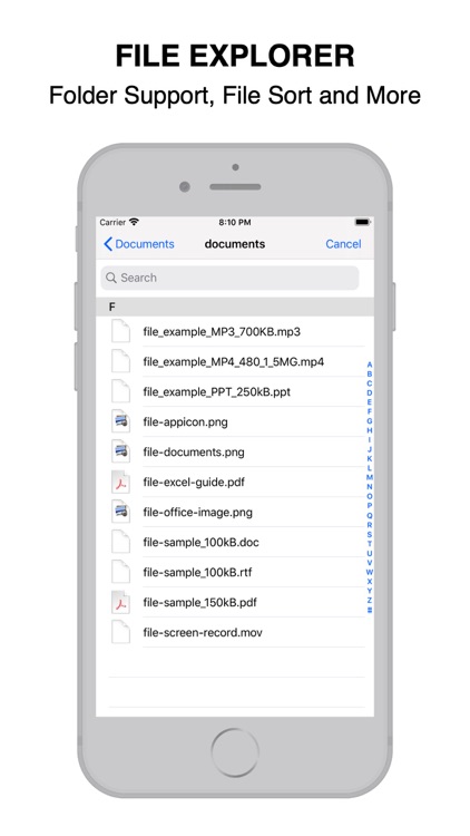 File Manager (Explorer)