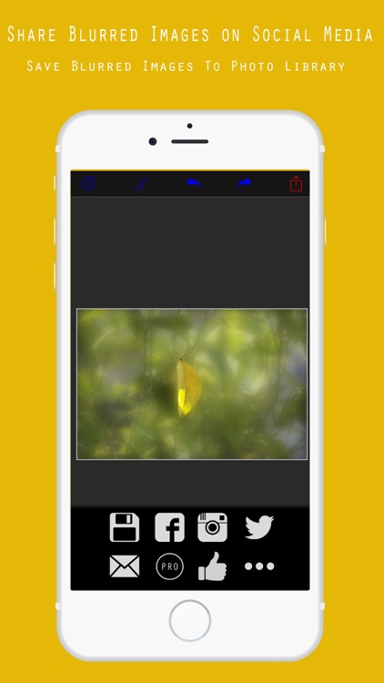Blur background bokeh effect