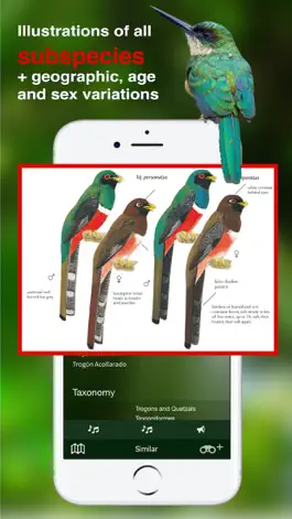 Game screenshot All Birds Colombia field guide hack