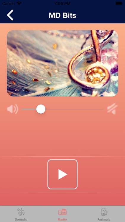 Sound Entertainment App screenshot-3