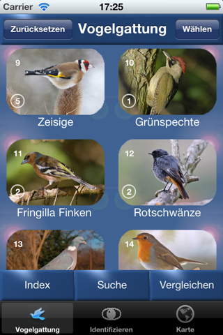 Vogel Id Gartenvögel bestimmen - náhled
