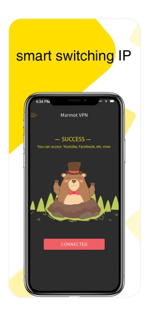 Marmot VPN - Fast&Secure Proxy(圖1)-速報App