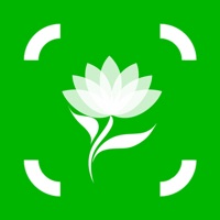 Plant Identification & Info apk