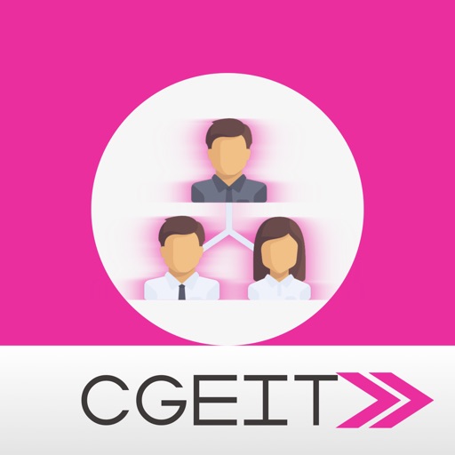 CGEIT Zertifikatsdemo