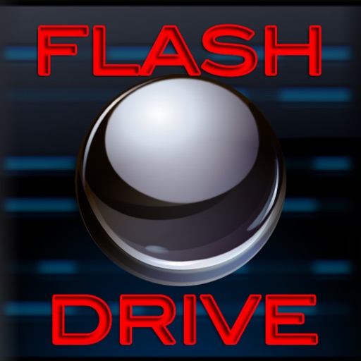 Flash Drive Business