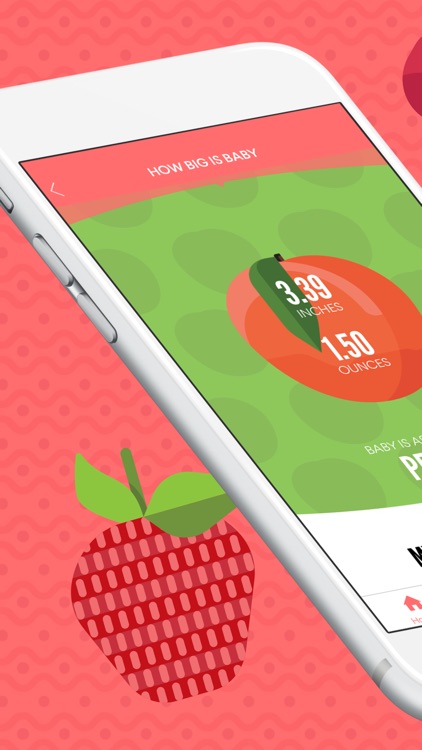 The Bump - Pregnancy Countdown screenshot-0