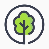 Pando Tree sur PC