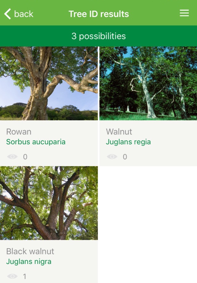 British tree identification screenshot 3