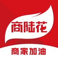 商陆花大屏版