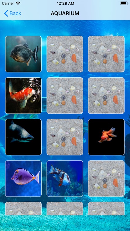 Memorize aquarium screenshot-6