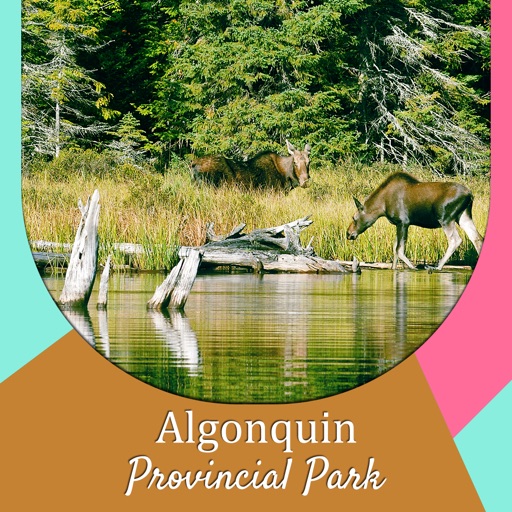 Algonquin Provincial Park