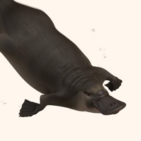 Huon Platypus pour PC
