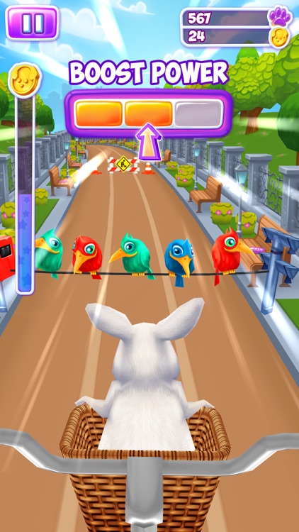 Pet Run - Puppy Dog game screenshot-4