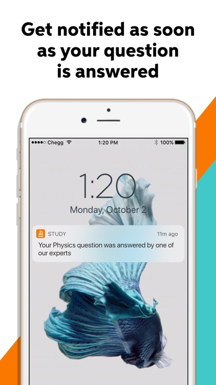 Chegg Study - Homework Help screenshot-4