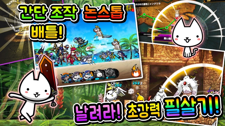네코대모험