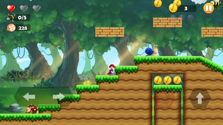 Brave Rogue Dungeon screenshot-6