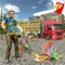 Birds Transport Truck Simulator - Cage Truck Driiver