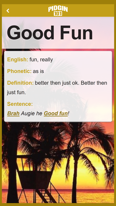 Pidgin 101 App screenshot 4