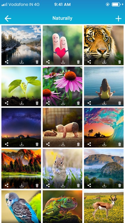 Private Photo Gallery Vault