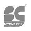 Beyond cell