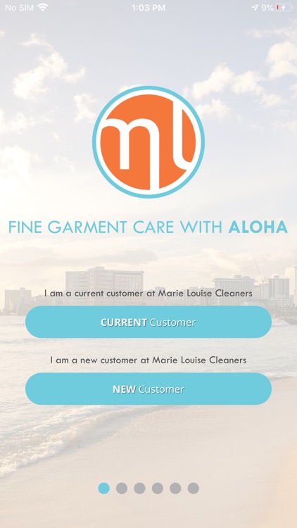 Marie Louise Cleaners