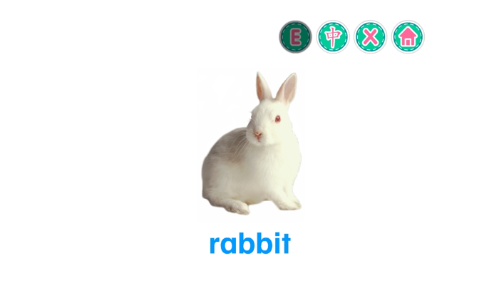 PicDic - Animals Eng-Chinese