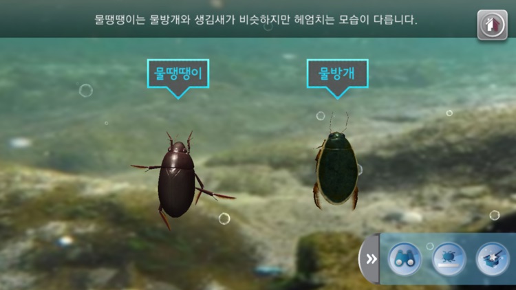 물에 사는 내친구 AR Book