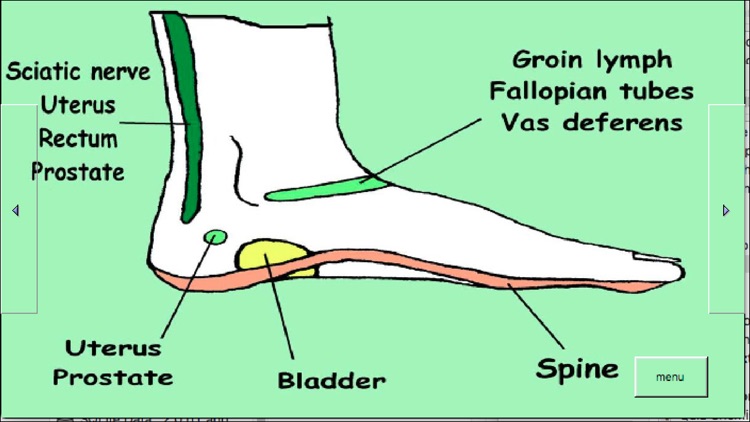 Treat Your Feet - Reflexology screenshot-4