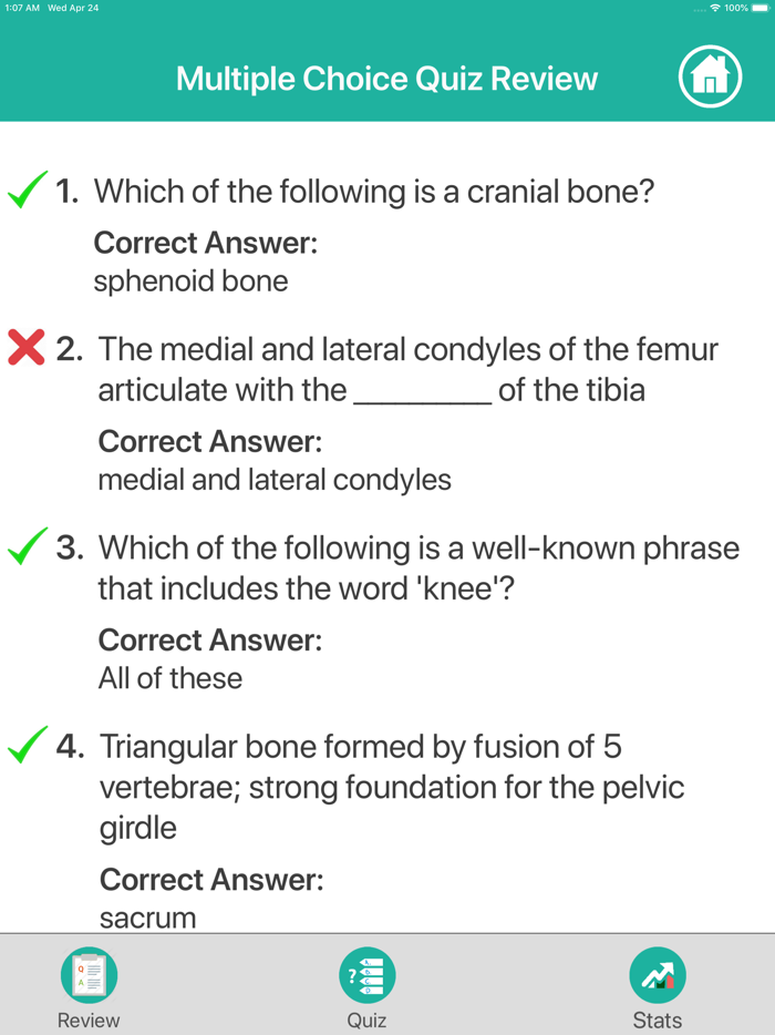 Anatomy - Skeletal System