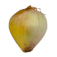 Activities of Onion