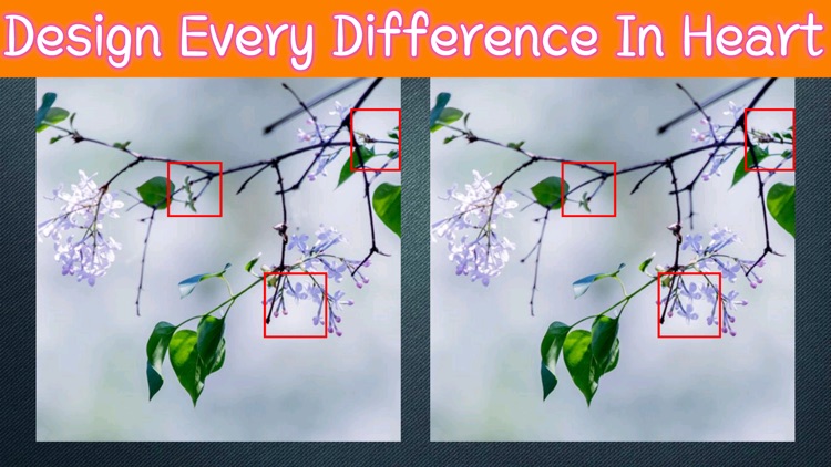 Find Beauty Differences screenshot-3