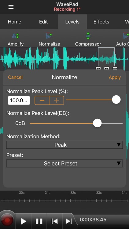 WavePad Master's Edition