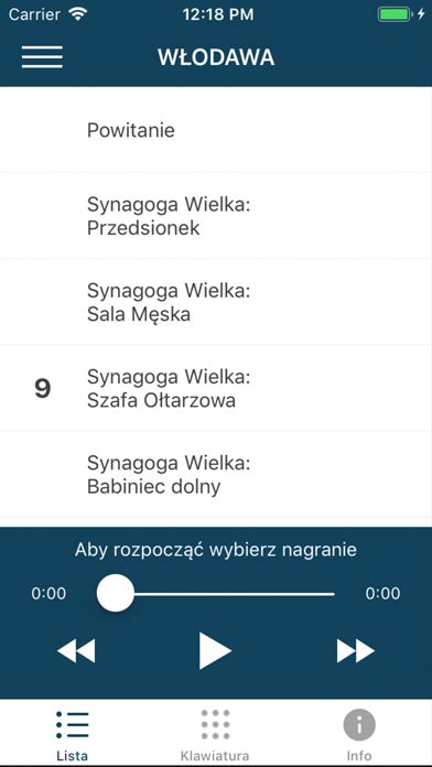 Synagoga we Włodawie screenshot 3