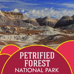 Petrified Forest